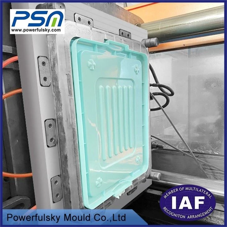 Closet storage boxes Mould
